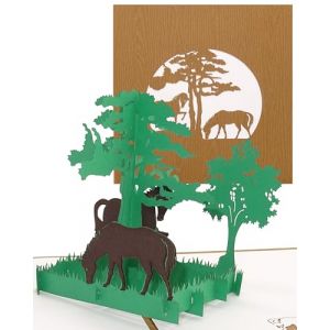Carte pop-up &laquo; Chevaux sauvages dans la nature &raquo; en 3D comme carte d'anniversaire, cadeau et cartes d'invitation pour anniversaire et anniversaire d'enfant &ndash; D&eacute;coration & emballage cadeau (Cologne Cards | Pop-Up Karten, neuf)