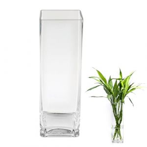 ASSRECT Grand vase carr&eacute; en verre transparent 40 cm, d&eacute;coration minimaliste pour maison, cuisine et bureau (ASSRECT, neuf)
