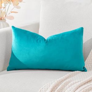 Artscope Housse de Coussin en Velours Décoratif Canapé Taie d'oreiller Super Doux Decoration Maison Salon Chambre pour Canapé 40x60cm Turquoise (Goolee, neuf)