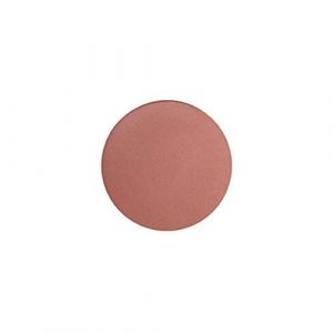 Fard à Joues Tomette ParisAx Professional (beautycoiffure, neuf)