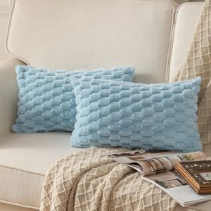 Mandioo Lot de 2 Super Doux Peluche Moelleux d&eacute;coratif Housses de Coussin Fausse Fourrure Laine Velours Taie d'oreiller Canap&eacute; Chambre &agrave; Coucher Le Salon Bleu p&acirc;le 30 x 50 cm (Mandioo_eur, neuf)