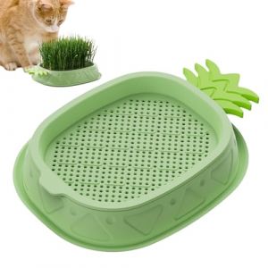 Humkopnl Bac à herbe à chat – Kit de culture sans sol | Plateau de semis et de germination en forme d'ananas, pot d'herbe de blé, sans terre, plante pour chat d'intérieur (minhuk, neuf)