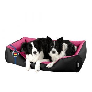 BedDog Lit pour Chien XXL - Orelier - Panier - Canap&eacute; - Housse Amovible, Lavable, pour Moyen-Grands Chiens (SOGO-GmbH, neuf)