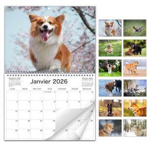AEYAKA Calendrier Mural Chiens 2026 &ndash; Photos de Chiens Adorables, Format A3 Ouvert, Organiseur Familial et de Bureau,Id&eacute;al pour les Amoureux Fran&ccedil;ais (Jintuo-EU, neuf)