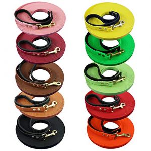 Longe en Biothane - 5 m - 21 couleurs - 4 largeurs avec dragonne (bio-leine, neuf)