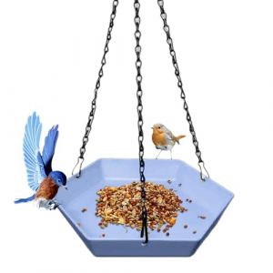 TYUKXJH Petit Bain d'oiseaux | Mangeoire Polygonale pour Oiseaux Sauvages | Abreuvoir Suspendu D&eacute;co Ext&eacute;rieure pour Balcon Terrasse Jardin Parc Famille (TeYunGeHuiShangMao, neuf)