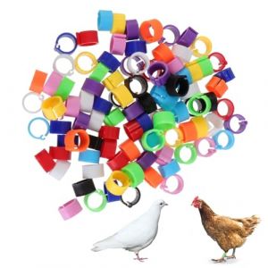 EUYKQNOI 100 pièces 10mm anneaux de pied de volaille avec coloré - 10 couleurs,anneau de pied de pigeon voyageur petits anneaux de serrage de volaille anneaux de cuisse de poulet anneau de pigeon (QSDMY, neuf)