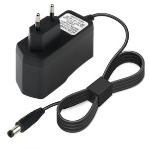 27V 500mA Chargeur Compatible avec Rowenta Turbo Brosse Balai X-Pert 3.60 Turbo, RH69 RH6921RH6973 RH6974 RH72 RH7233 X-Pert 160, RH7221 RH7233 RH7237 Replacement Chargeur aspirateur, C&acirc;ble 2M (NenJiangJie, neuf)