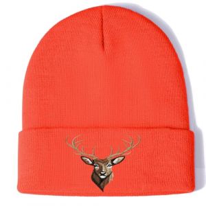 Aretas Chasseur Cadeaux Bonnet Bonnet Chapeau pour Homme The Hunt Chasse For&ecirc;t Accessoires V&ecirc;tements de chasse Costume Cadeau Calendrier de l'Avent Chasse Retraite Cadeau, Orange, taille unique (yiwushiruojiewangluokejiyouxiangongsi, neuf)