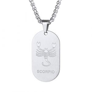 Custom4U Collier Plaque Signe Astrologique Scorpion Pendentif Zodiaque Chaîne Adjustable (Custom4U Store, neuf)