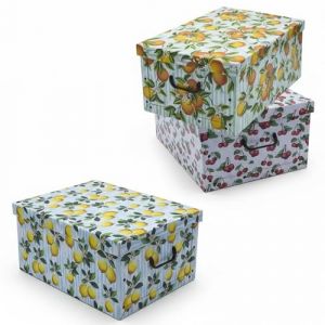 Spetebo Lot de 3 bo&icirc;tes de rangement avec couvercle 51 x 37 cm - Motifs de fruits - Bo&icirc;te de rangement en carton avec poign&eacute;es 45 litres - Bo&icirc;te de rangement polyvalente pour jouets, cadeau, carton (Special-trends, neuf)
