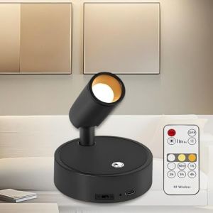 Kambo Spot LED Sans Fil Rechargeable 4000mAh - Éclairage d'Art Mini et Lampe de Lecture avec Télécommande et Touche Tactile - Minuterie Intégrée pour Plantes, d'Art, Armoires, Chambre, Salon, 1 Pièce (Kambo-eu, neuf)