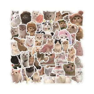 MOPZIJA Lot de 60 stickers,stickers scrapbooking,autocollants autocollant stickers scrapbooking aesthetic ordinateur portable voyage Tasse d'eau Le coffre Voitures enfants Adultes motif mignon (qinhuangdaozhaozangshangmaoyouxiangongsi, neuf)