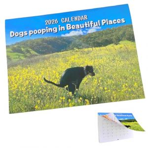 Chien caca calendrier 2026, Calendrier Chiens Caca 2026 Broch&eacute;, Calendrier Planificateur de 12 Mois pour Vous Aider &agrave; Planifier, dr&ocirc;le d'Animaux, Cadeau pour Amis, Famille, Voisins (MEIQIONGSHAO LIMITED, neuf)