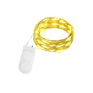 Gcstnn Guirlande Lumineuse à Piles, 2M 20LED Mini Guirlande LED IP65 Étanche Interieur Micro Fée Chaîne Lumineuse pour Noël, Halloween, Chambre, Mariage, Fête, Bouteille Décor (Blanc Chaud) (GI.Store, neuf)