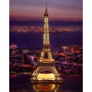 Rolife 3D Puzzles la Nuit de la Tour Eiffel Kit de Construction de Maquettes en Bois Puzzles en Bois Modèles à Construire pour Adultes et Enfants Modèles avec Lumières LED 164pcs (TGL01) (Ruober, neuf)