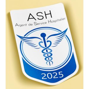 SC ® - Sticker/Autocollant - Vignette Caducée 2025 - Ash - Agent Service Hospitalier - Type de Pose Vitrophanie* (S'applique sur Le Pare-Brise à l'intérieur du véhicule) (S-C, neuf)