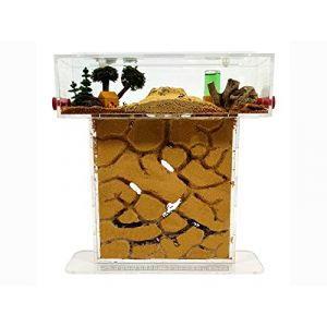 Petite fourmili&egrave;re T- en sable naturel (acrylique) - avec fourmis incluses - de 20 &agrave; 30 fourmis. (anthillshop-es, neuf)
