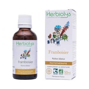 Herbiolys | Extrait De Plantes Fra&icirc;ches Bio | Framboisier (Rubus idaeus) | Troubles menstruels, Digestion & Respiration | Phytoth&eacute;rapie Bio | 50 ml (BIVEA, neuf)