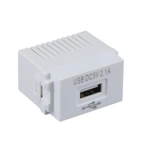 PPcdfre Panneau de Chargement pour TéLéPhone Portable Module d'alimentation USB Prise 220 V Transformateur 5 V 2,1 Une Adaptateur de Commutation de Prise de Courant de Charge USB (chunweipudianzi, neuf)