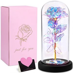 Frasheng Rose Eternelle sous Cloche, Artificielle colorée La Belle et la Bête, Enchantée,avec LED et Cartes,Rose Galaxy Dôme en Verre,Meilleur Cadeau pour Petite Amie,Femme,Mère (RAGUCCI, neuf)