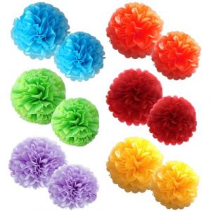 THQAE Lot de 12 Pompons Papier, Suspension Boule Papier, D&eacute;coration Color&eacute;e pour les F&ecirc;tes, Pompon Papier Soie Fleur, D&eacute;corations F&ecirc;te, Mariage, Table, Anniversaire (ProTechika O&Uuml;, neuf)