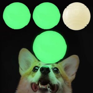 4 pièces Balles avec Lumières LED,Balle élastique Clignotante,Balles LED pour Chien,Balle Lumineuse Chien,balles Lumineuses pour Chiens,Convient pour Jouer avec des Animaux de Compagnie (5 * 5 cm) (feitao trading, neuf)