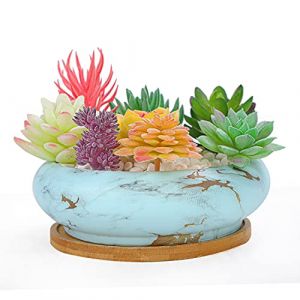 ARTKETTY Pot de Fleur, Grand Pot pour Succulentes Pot à Bonsaï en Marbre avec Plateau Pot en Céramique pour Plantes D'intérieur (Ketty LOVE, neuf)