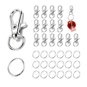 160 Pi&egrave;ces Mousqueton Porte Clef Anneaux, Attache Porte Cl&eacute;, Fermoir Mousqueton Crochets de Cl&eacute;s Avec Porte-cl&eacute;s, Pivotant Keychain Pivotant en M&eacute;tal, pour la Fabrication de Cl&eacute;s, L'artisanat,argent&eacute; (BoAoXin, neuf)