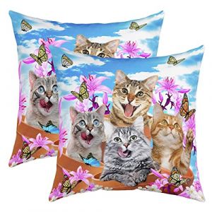 Cat Lot De 2 Taie d'oreiller 55x55cm Soft PlaceBleu Cute Papillons Housse Coussin Maison Taie Oreiller Botanique Fleurs Fleurss Jours Bleu Housse de Coussin Pour Canap&eacute; Le Salon Chambre Chaise de lit (Bofanshangmao, neuf)