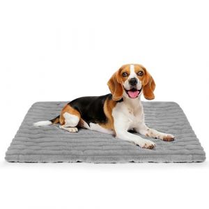 RIOGOO Coussin Chauffant Chat, lit pour Chat, Couverture chauffante pour Chien, Coussin Chauffant pour Animaux de Compagnie 70 x 48 cm, lit Chauffant pour Animaux de Compagnie, Tapis Chauffant (L) (SUNTECH INTERNACIONAL, neuf)