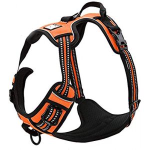 TRUE LOVE Réfléchissant Harnais De Chien Réglable Décourager Tirer Pet Gilet Durable en Nylon De Voiture TLH5651 (Orange, M) (Truelove Pet Garment and Shoes Co.Ltd., neuf)