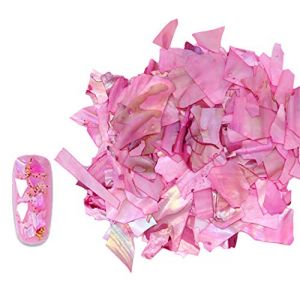 Ranvi Nail Jewelry Coquille Paillette Abalone Slice Nail Patch Paillettes D&eacute;coratives (RuiyingTech-EU, neuf)