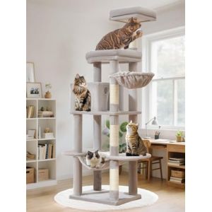 Taoqimiao Arbre a Chat Maine Coon,168cm Stable Arbres &agrave; Chat Grand Format XXL avec Condos Spacieux pour Chats, 4 Griffers, Tr&egrave;s Grand Plateformes, Hamac, Panier pour Matou, MS042W Gris Clair (AICHONGTECH, neuf)