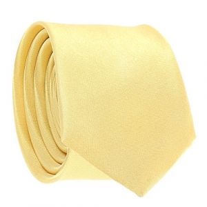 Cravate Fine Jaune pale - Cravate Homme Coupe Slim Moderne - 5cm &agrave; la Pointe - Couleur Unie - Accessoire Chemise pour Mariage, C&eacute;r&eacute;monie (cravateSlim FR, neuf)