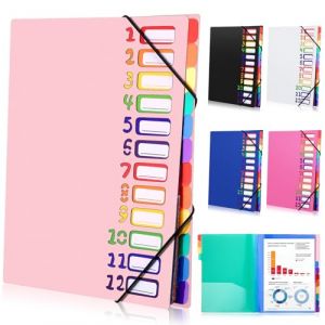 Tatxmalv Range Document Bureau A4, Classeur Extensible, Classeur à Documents à 12 Compartiments, Rangement Papier Administratif avec Élastique pour Documents de Bureau, Devoirs Scolaires (Rose) (TOTAL MAX SELL, neuf)