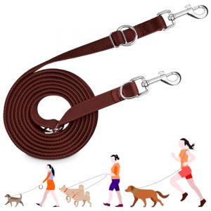 PETCOOZ Laisse pour Chien 3 m Multifonctionnelle, Laisse de Dressage Éducative Réglable en 3 Positions pour Un/Deux Chien, Longe Double Ajustable en Nylon Solide pour Chiot Chien Chat, Marron (XIAOTENG, neuf)