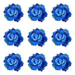 9PCS Barrette Fleur Pince &agrave; Cheveux, Roses Bleu Fleur Accessoires de Cheveux, &eacute;pingle &agrave; Cheveux Mariage, Pince Fleur Rouge Cheveux, Fleur Clip pour Filles Femmes Enfants F&ecirc;te Plage Mariage (Surakey, neuf)