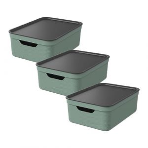 Jive Dekobox Lot de 3 boîtes de rangement 10l avec couvercle, Plastique (PP recyclé), 10l (37.5 x 27.8 x 13.5 cm), Vert (Rotho Kunststoff GmbH, neuf)