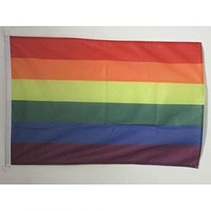 AZ FLAG - Drapeau Arc-en-Ciel - 45x30 cm - Pavillon Nautique Lgbt - Gay - Rainbow Spécial Bateau Et Extérieur En Maille Bloquée Avec Anneaux Plastiques Intégrés - 30g (AZ-FLAG, neuf)