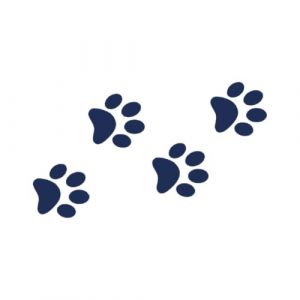 Tattwo.me – Tatouage temporaire pour adultes et enfants, dure 2 semaines, résistant à l'eau – pattes de chat – Encre végétale - certificat cosmétique UE – (P0687) (Tattwo me, neuf)