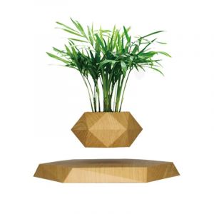 ETRAVEL Pot de fleurs en lévitation en bois pour plantes grasses, cactus - Décoration en lévitation magnétique pour la maison et le bureau - Marbre (marron) (HAYAN Trade, neuf)