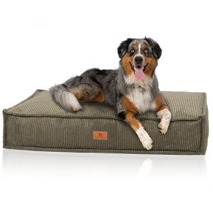Knuffelwuff Coussin pour Chien Lesedi en Velours c&ocirc;tel&eacute; Aspect tiss&eacute; Main 100x70cm Kaki - Housse Amovible - Lavable - pour Grands, Moyens et Petits Chiens (Knuffelwuff, neuf)