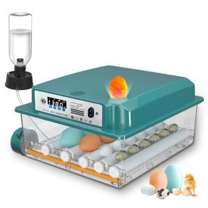 CoInceptus Couveuse Oeuf Automatique, Incubateur Oeuf Automatique 12-16 Oeufs avec Retournement Automatique des &oelig;ufs et Ajout Automatique d'eau, Couveuses pour &oelig;ufs de Volailles (CONGCONGDZ STORE, neuf)