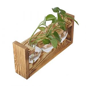 Tomotato Stations de Propagation de Plantes avec Support en Bois, Vase en Verre à Fleurs Vintage Coeur, Vase de Table Transparent en Forme de Cœur pour Plantes Hydroponiques(C) (Hairolory, neuf)
