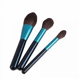 FILFEEL 14 Pièces Ensemble de Pinceaux de Maquillage à Poils Souples Ensemble de Pinceaux de Maquillage Cosmétique de Professionnels de de Voyage Outils de Poignée en Poils Conception Portable pour (Liyishun, neuf)