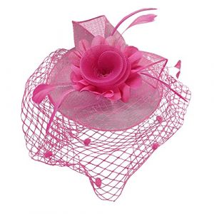 LZPCarra Tea Mariage Plumes Femmes Clip Mesh Bandeau Accessoire Chapeau &agrave; visi&egrave;re Marron (Rose vif,Taille unique) (One like, neuf)