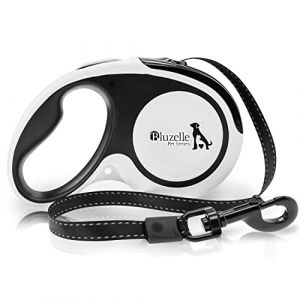 BLUZELLE Laisse &agrave; Enrouleur de 5m avec Bandes R&eacute;fl&eacute;chissantes, pour Moyens & Grands Chiens jusqu'&agrave; 50kg, Laisse R&eacute;tractable avec Mousqueton 360&deg;, Syst&egrave;me de Freinage Fiable, Ceinture Nylon, Taille:L (BF-Commerce GmbH, neuf)