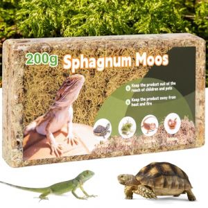 FEBCAT Catch Mousse de Sphaigne 200g | Substrat Naturel pour Reptiles, Orchidées, Décoration | Sphagnum Moss Idéal pour Tortues, Lézards, Serpents et Plantes (EU-JIAZHIHENG, neuf)