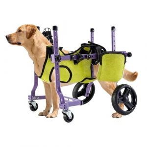 Garsent Chine de Fauteuil Roulant pour les Jambes Arri&egrave;re, Chariot en Fauteuil Roulant pour Chien, &eacute;tendue Int&eacute;gr&eacute;e &agrave; 4 Roues Patrures Arri&egrave;re pour Chariot de Marche pour Ext&eacute;rieur, (cigemay, neuf)